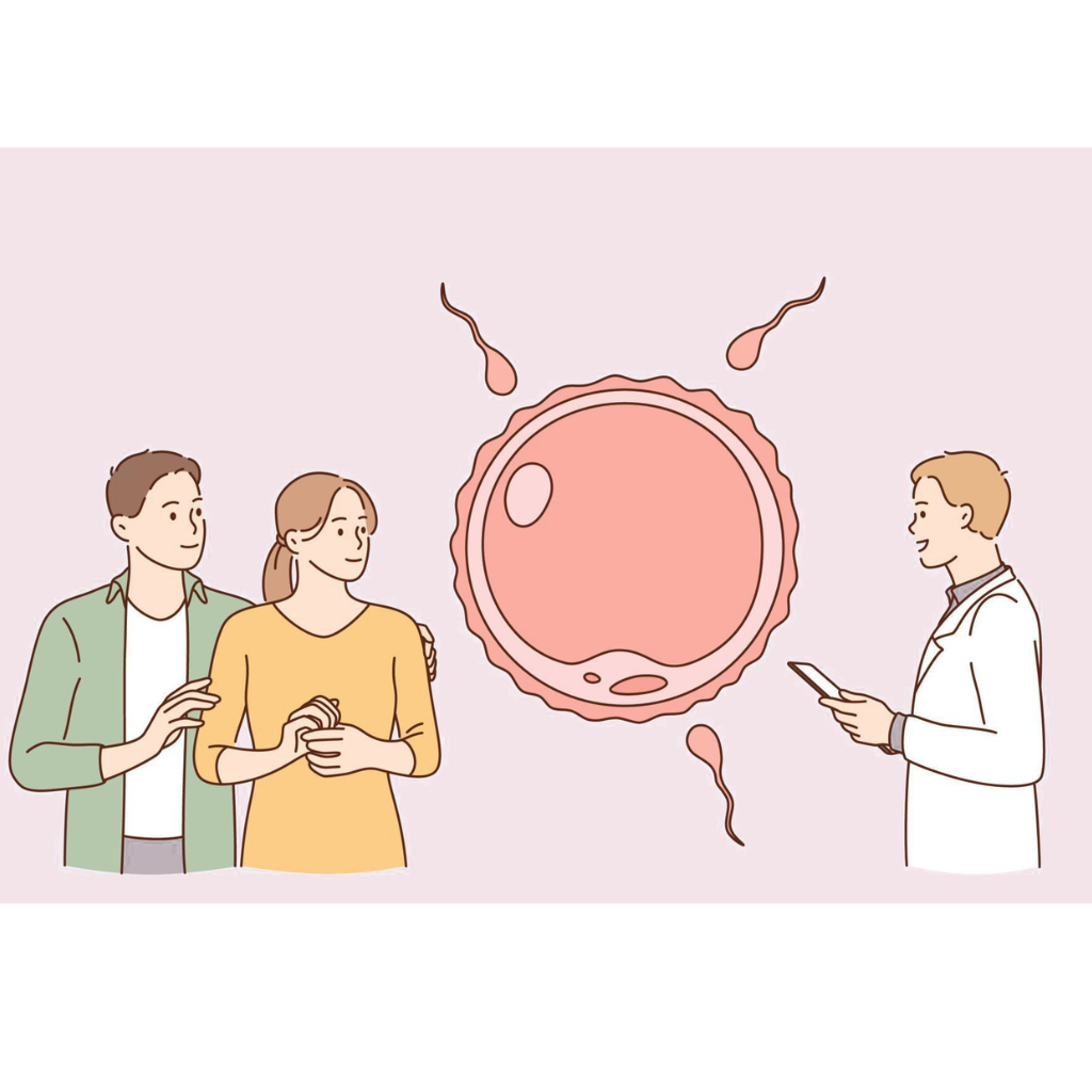 fertility
